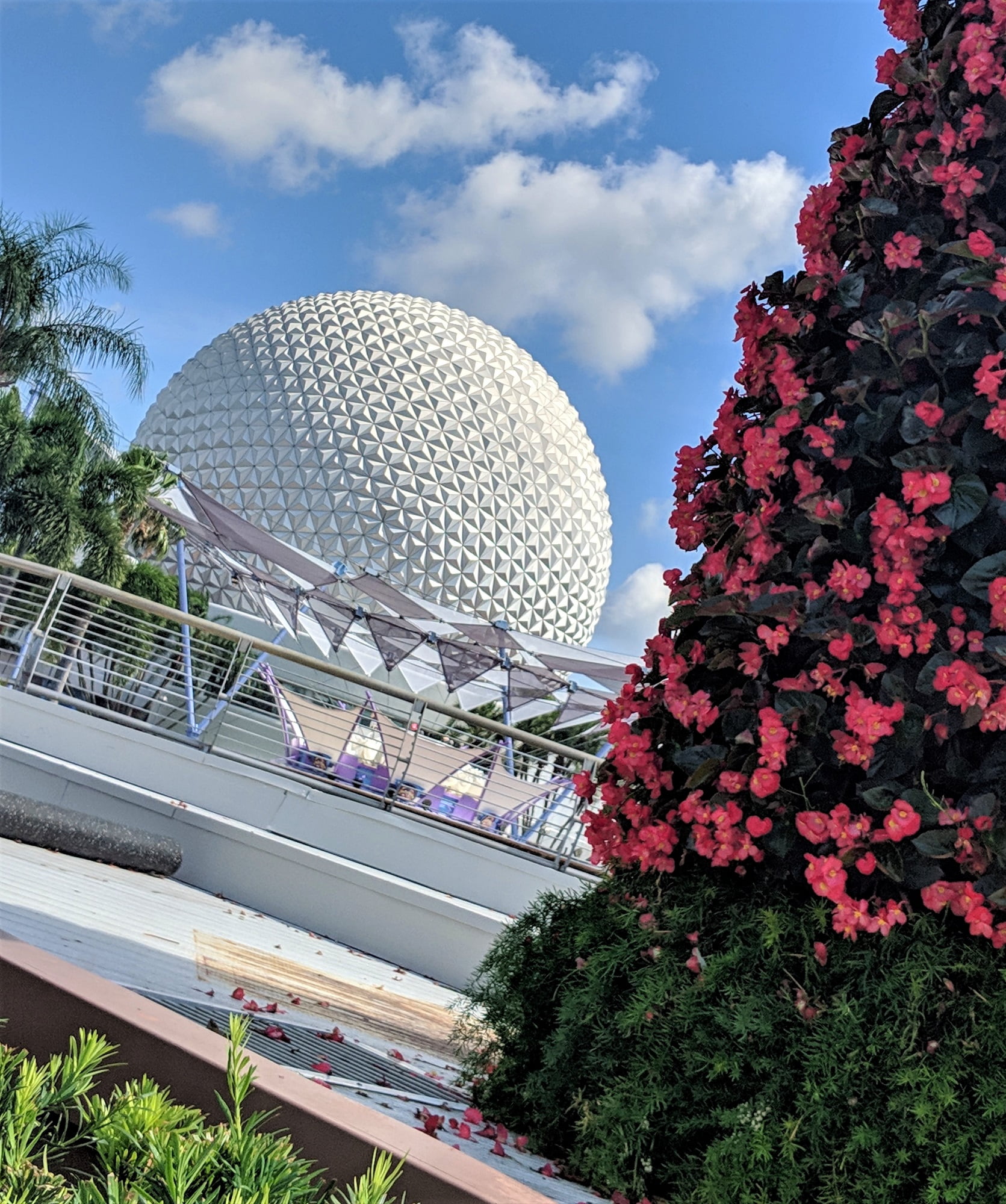 Annual Passholder Magnets at Epcot!