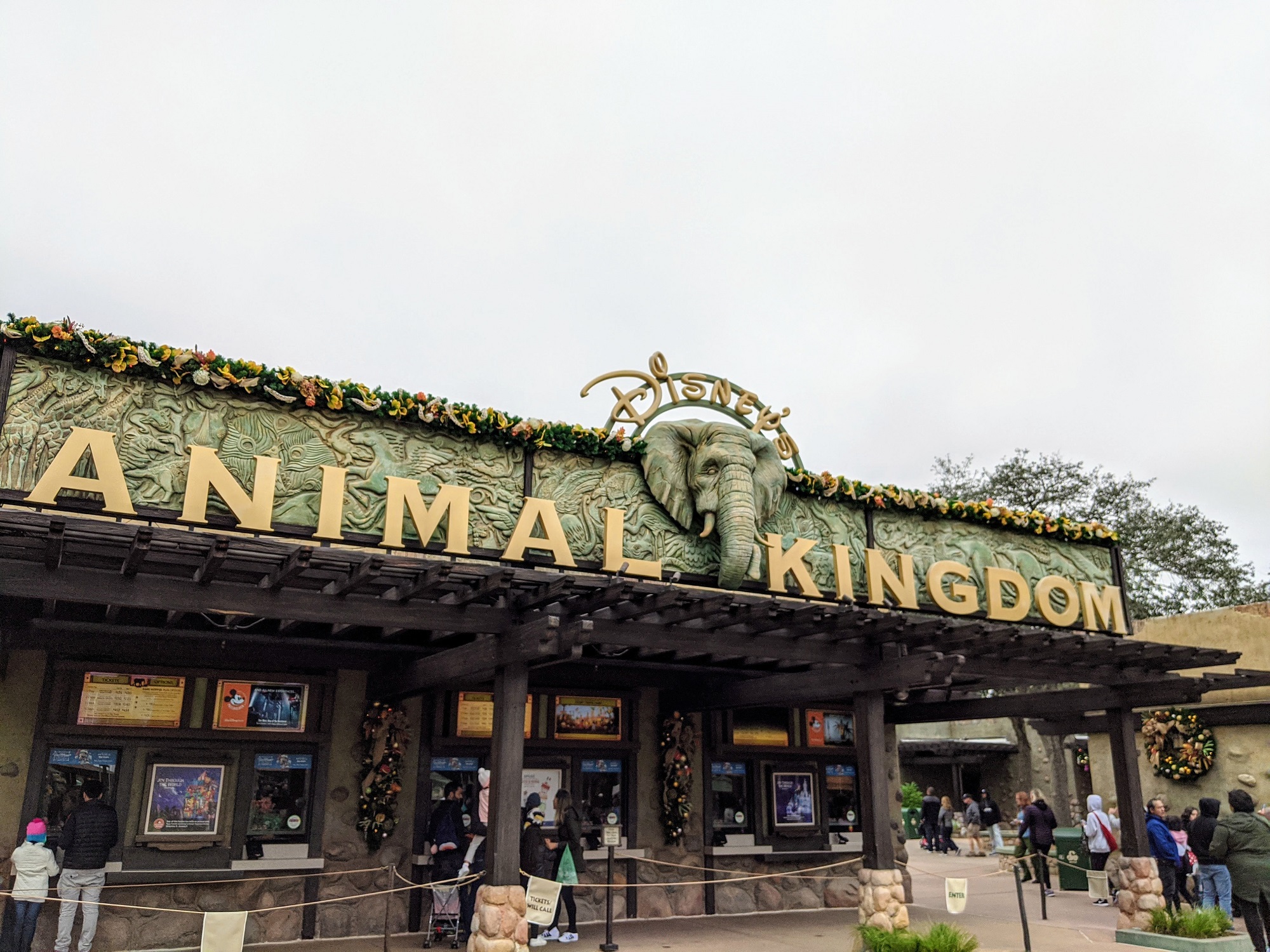 Lion king show return to Disney!